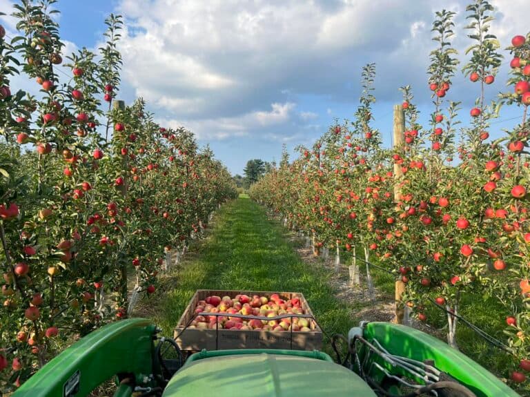 Tougas Family Farm