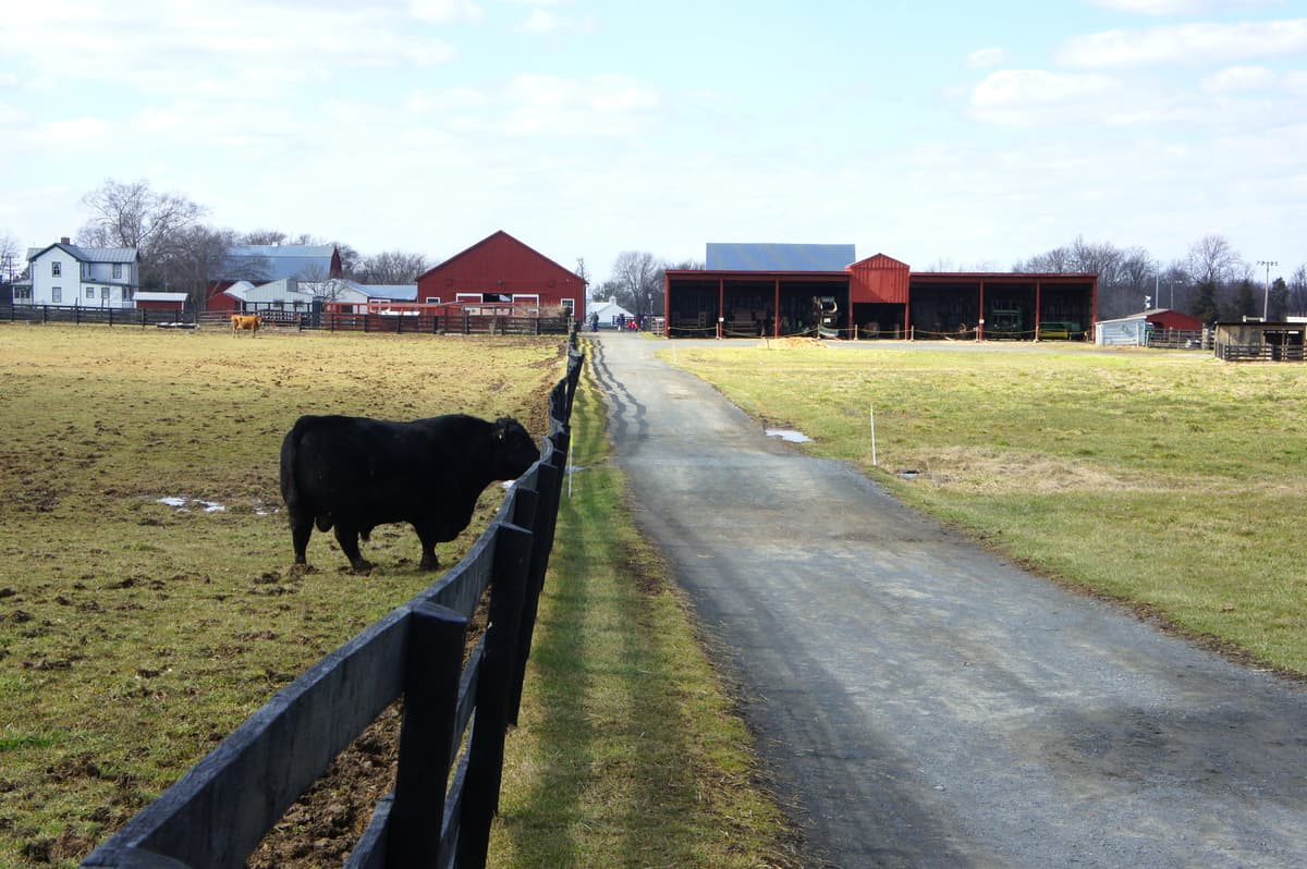 Frying Pan Farm Park