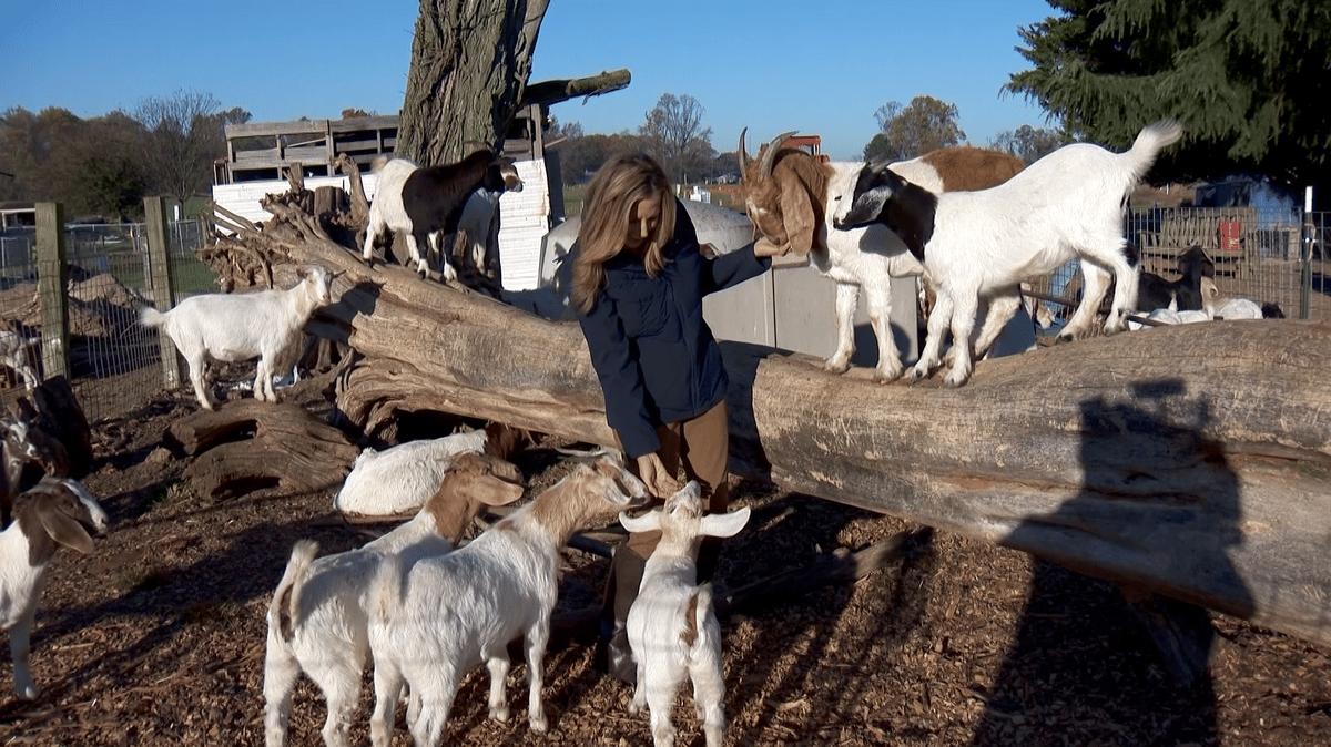 Strohmer's Farm