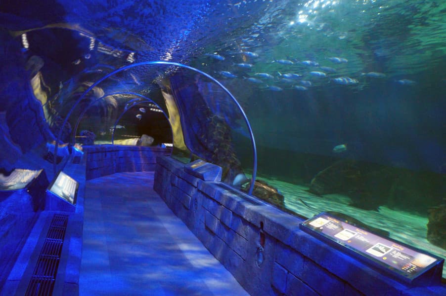 SEA LIFE Minnesota Aquarium