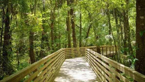 Eureka Springs Conservation Park