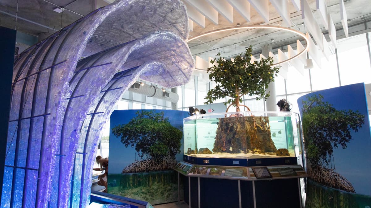 Tampa Bay Watch Discovery Center