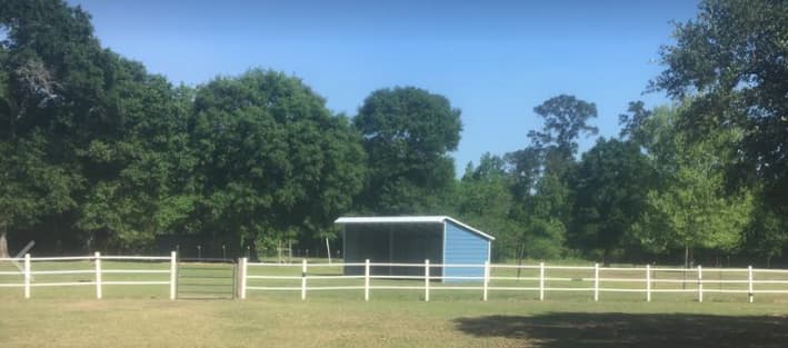 Horse of Course Stables