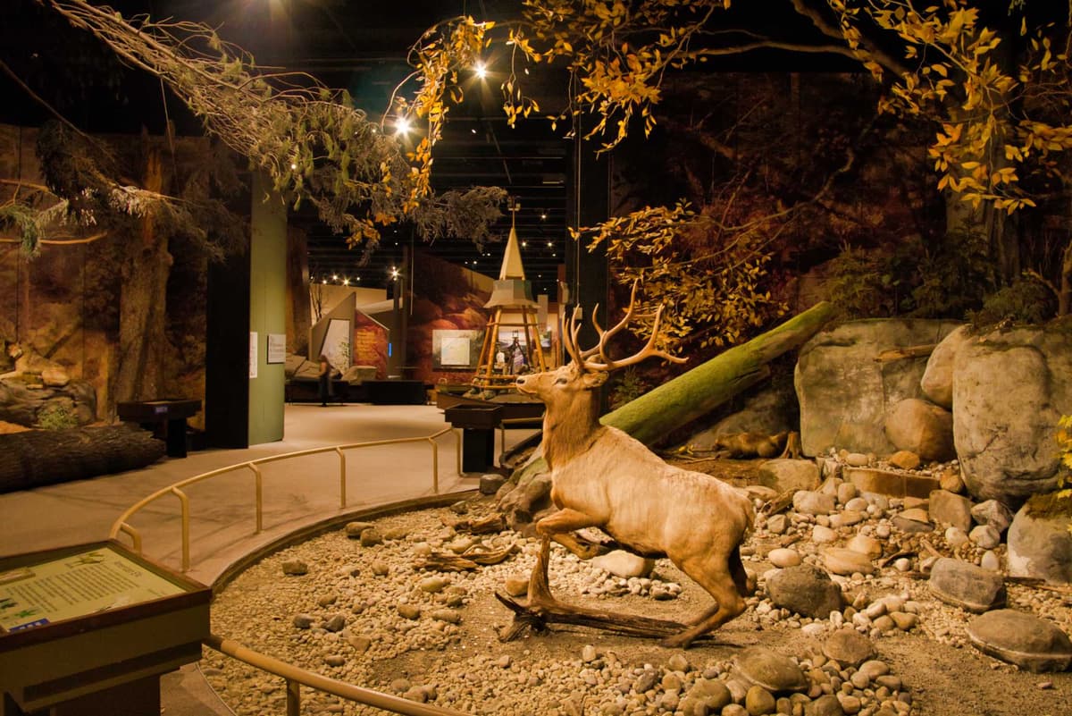 New York State Museum