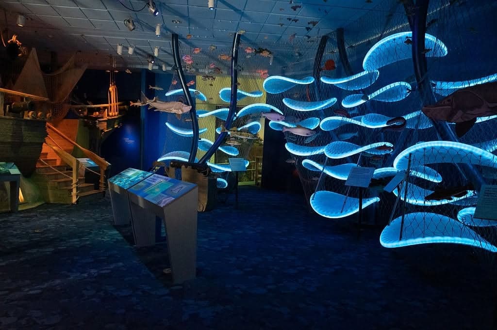 Rochester Museum & Science Center