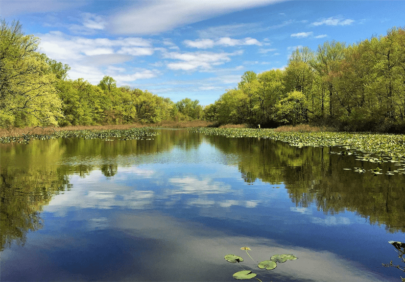 Tenafly Nature Center