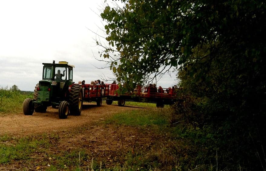 Schaefer Farms