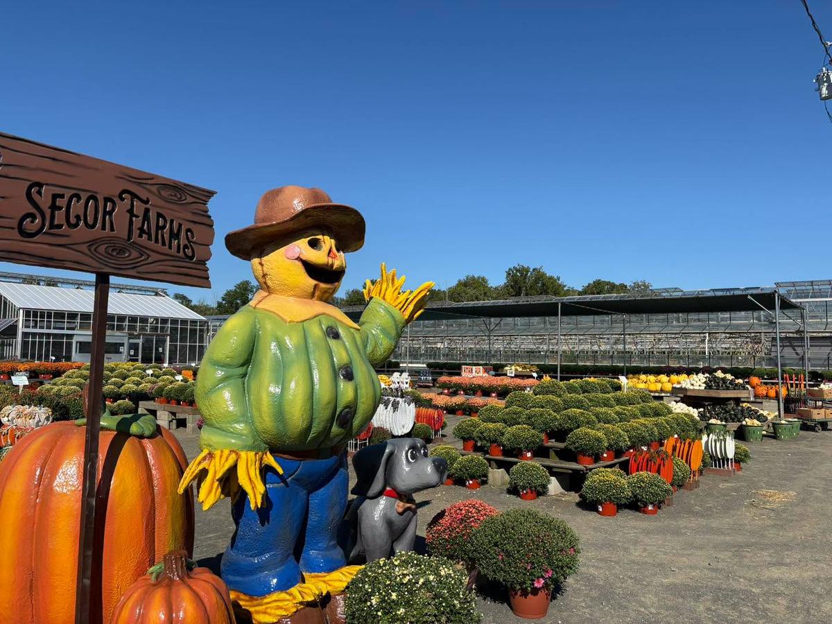 Secor Farms