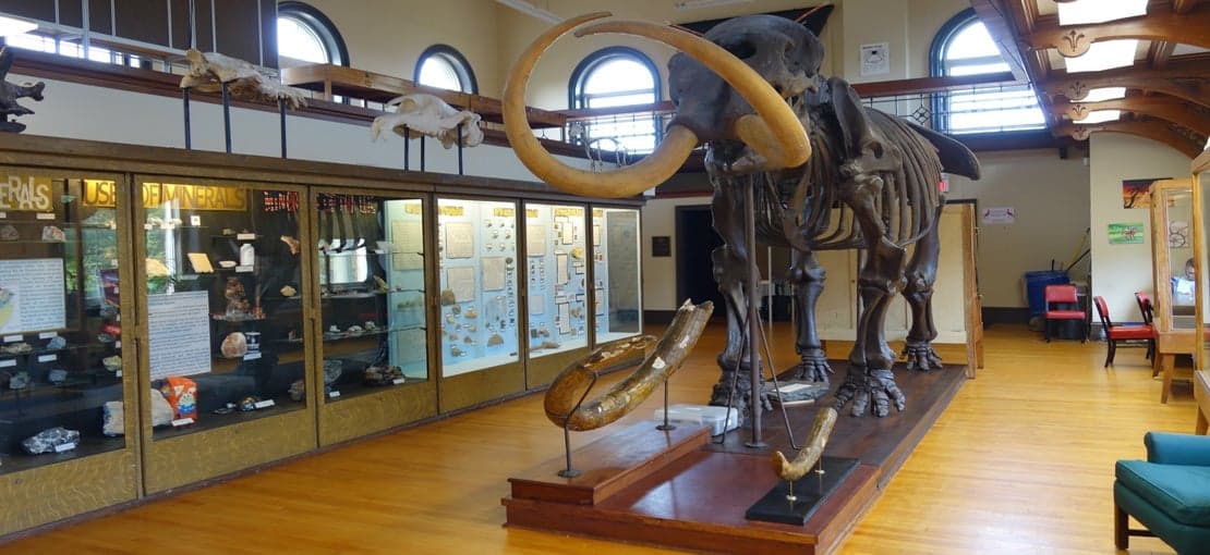 Rutgers Geology Museum