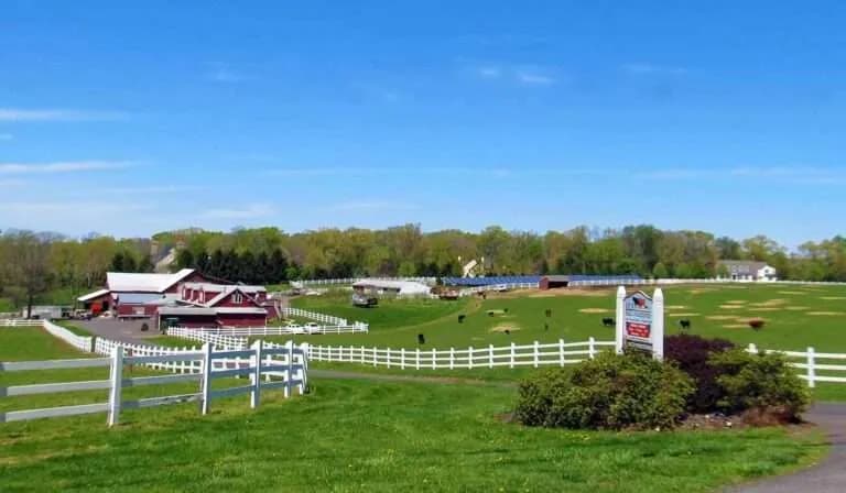 Shady Brook Farm