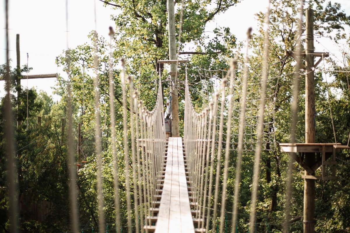 Refreshing Mountain Retreat and Adventure Center