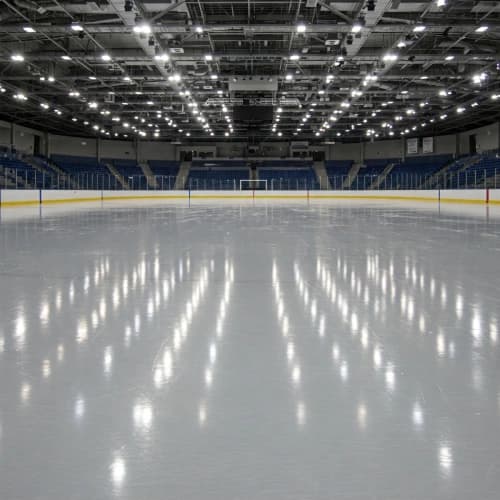 The Skatium