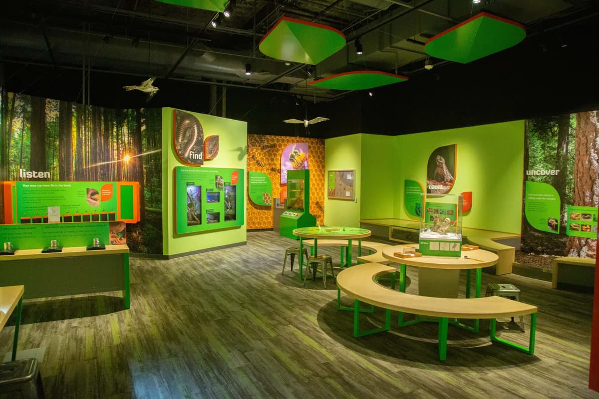 SMUD Museum of Science and Curiosity (MOSAC)