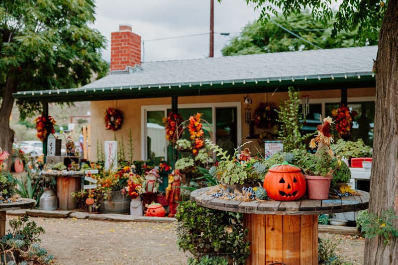 Oma's Family Farm
