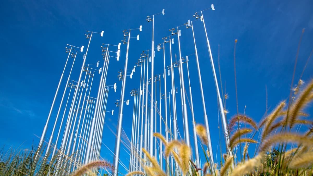 Tongva Park