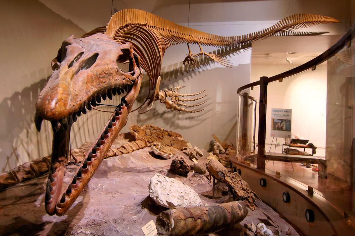Texas Science & Natural History Museum