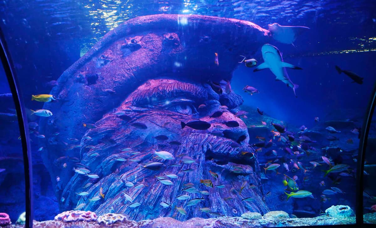 San Antonio Aquarium