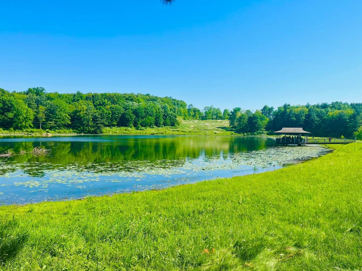 The Wilderness Center