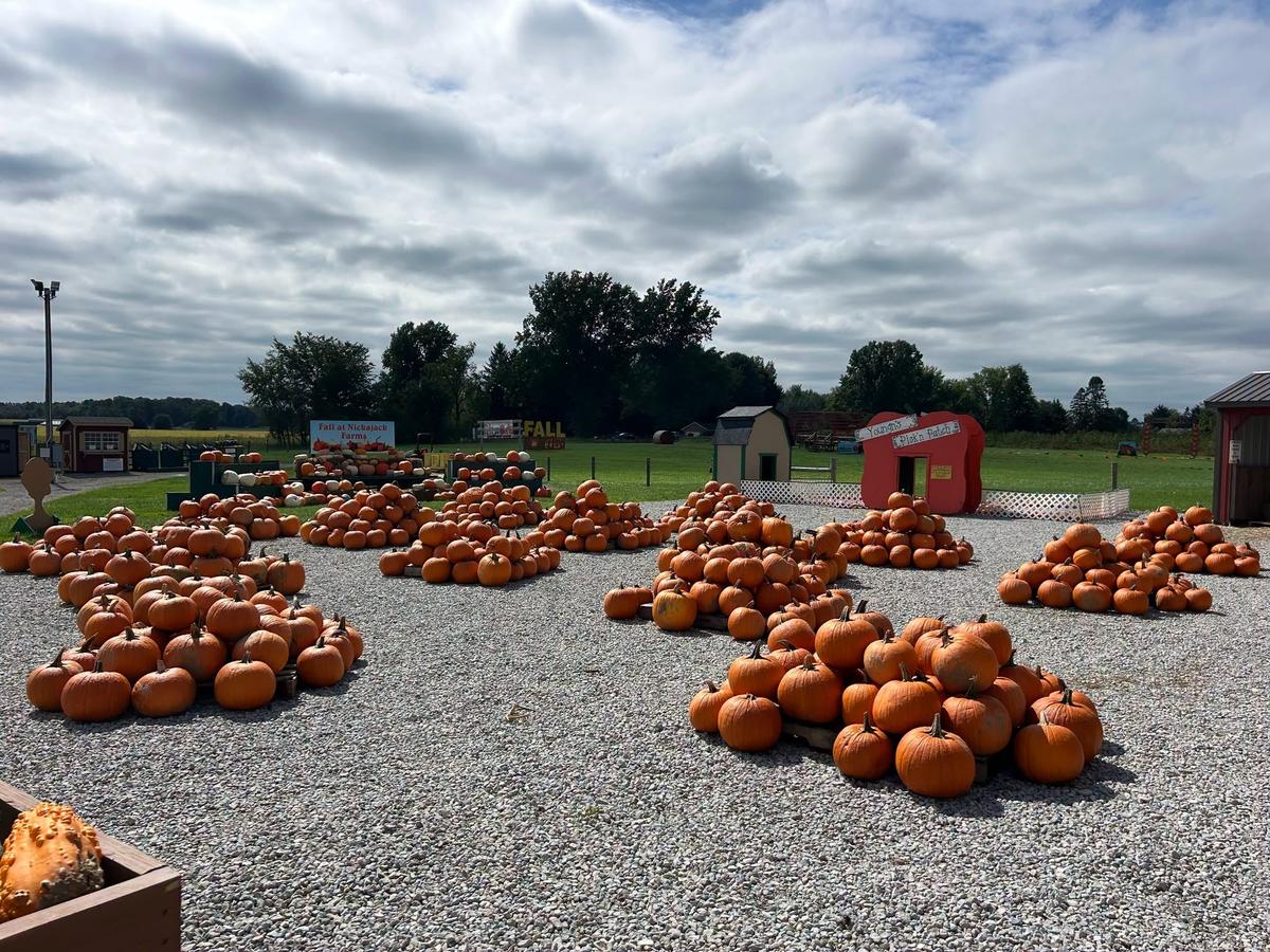 Nickajack Farms