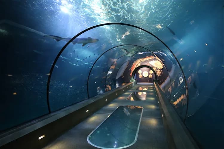 Newport Aquarium