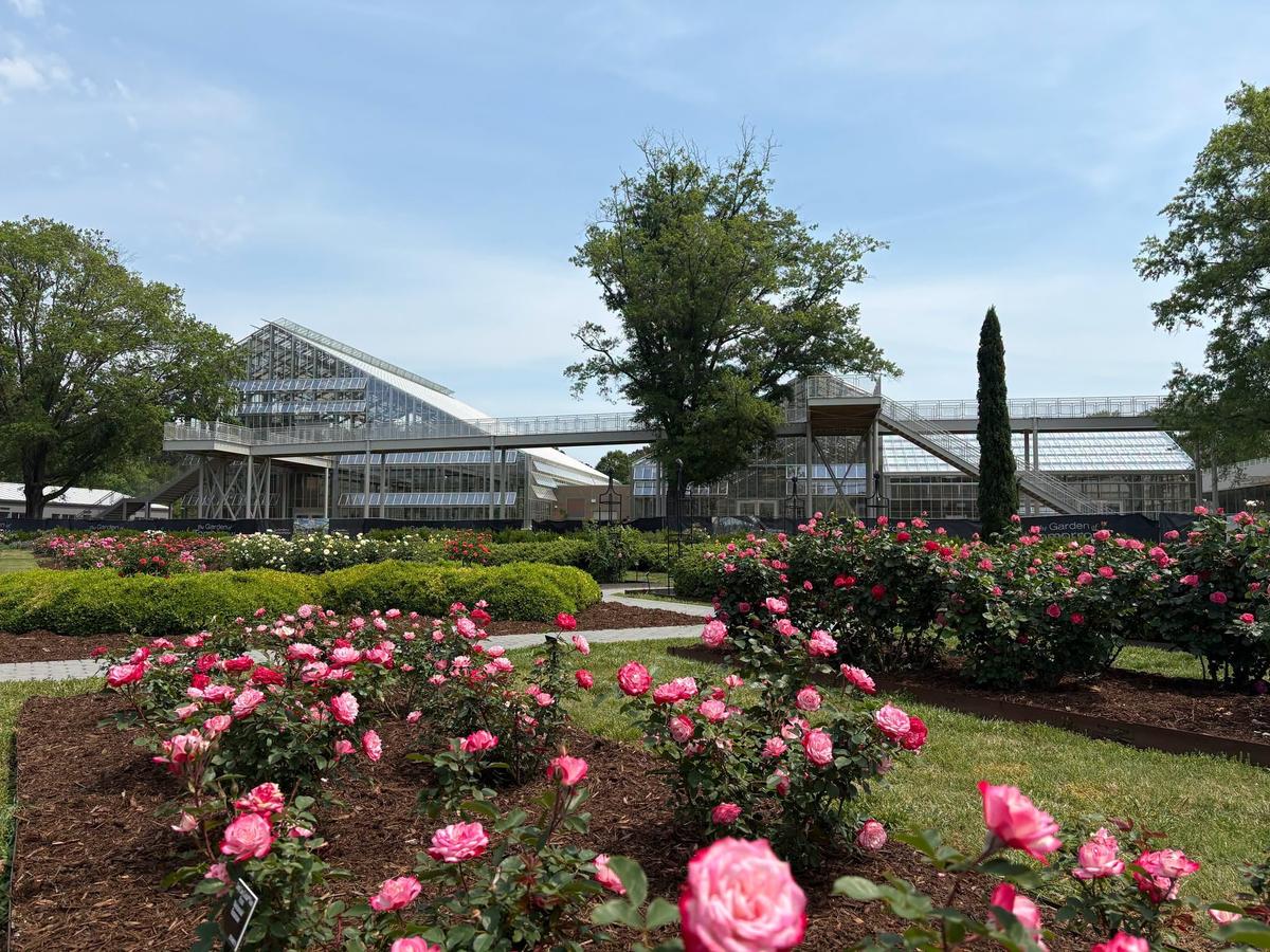 Norfolk Botanical Garden