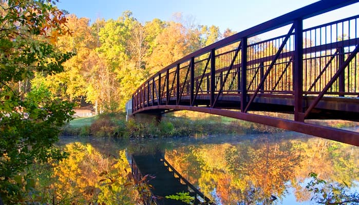Pocahontas State Park