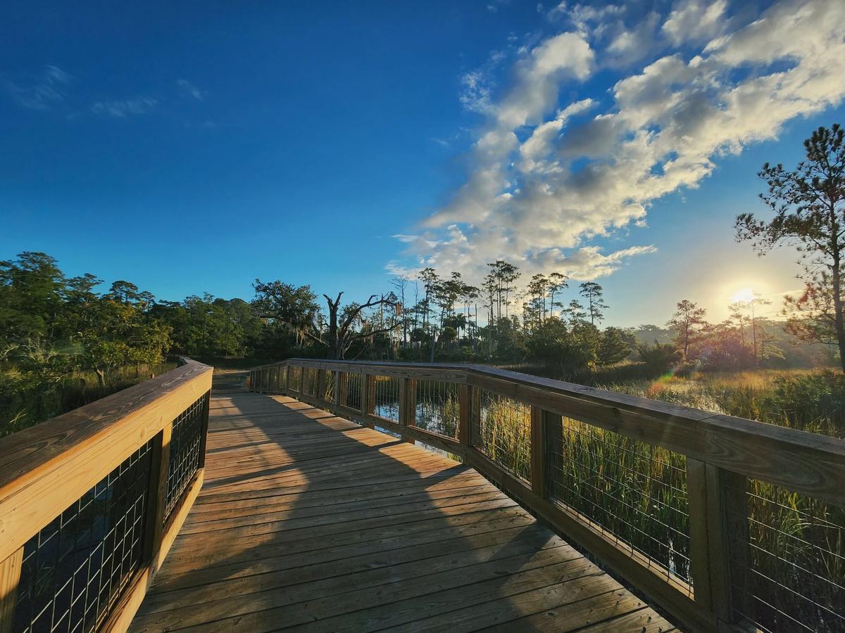 Skidaway Island State Park