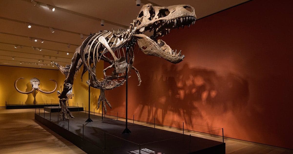 Bruce Museum