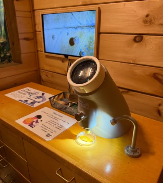 Hungerford Nature Center & Museum