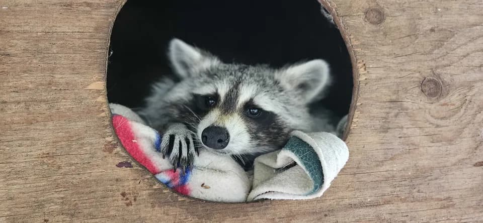The Zoo in Forest Park and Education Center