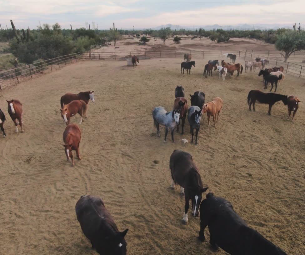 MacDonald's Ranch