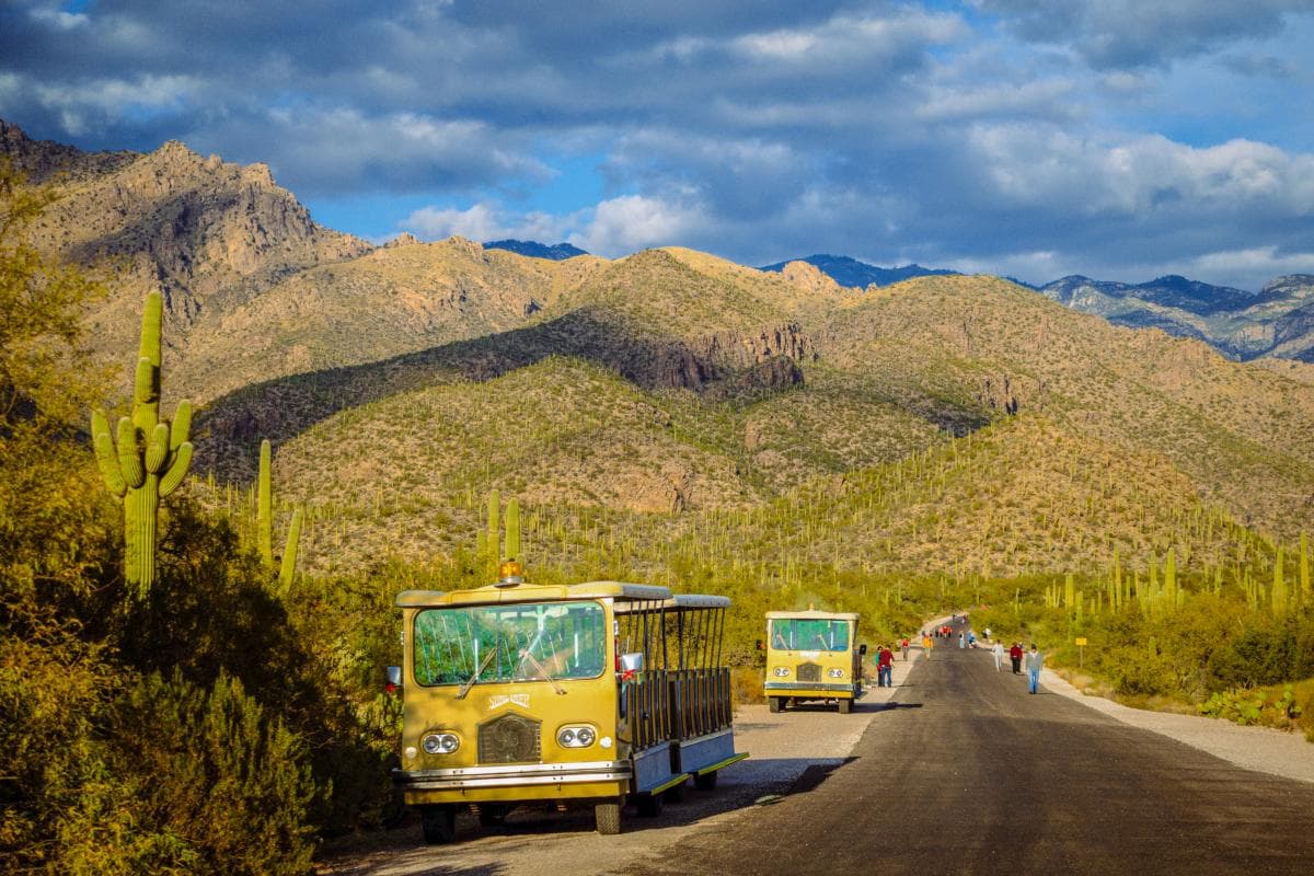 Sabino Canyon Recreation Area