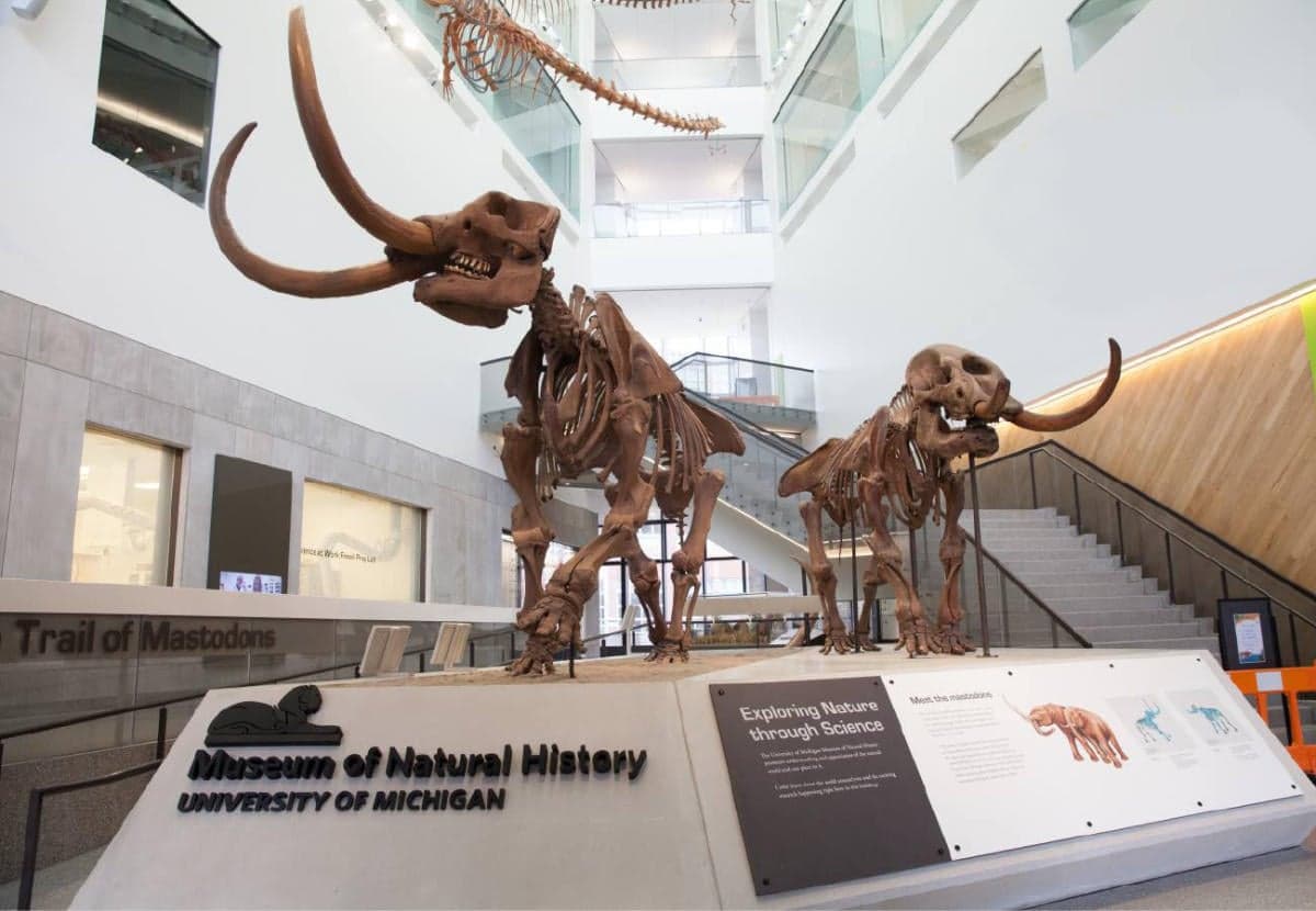 University of Michigan Museum of Natural History