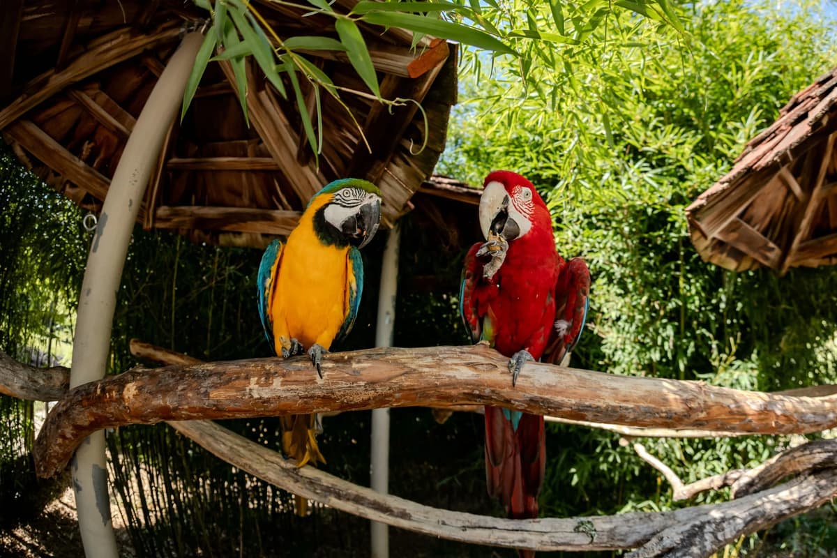 The Creature Conservancy