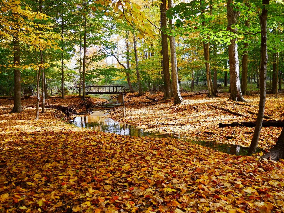 Stage Nature Center