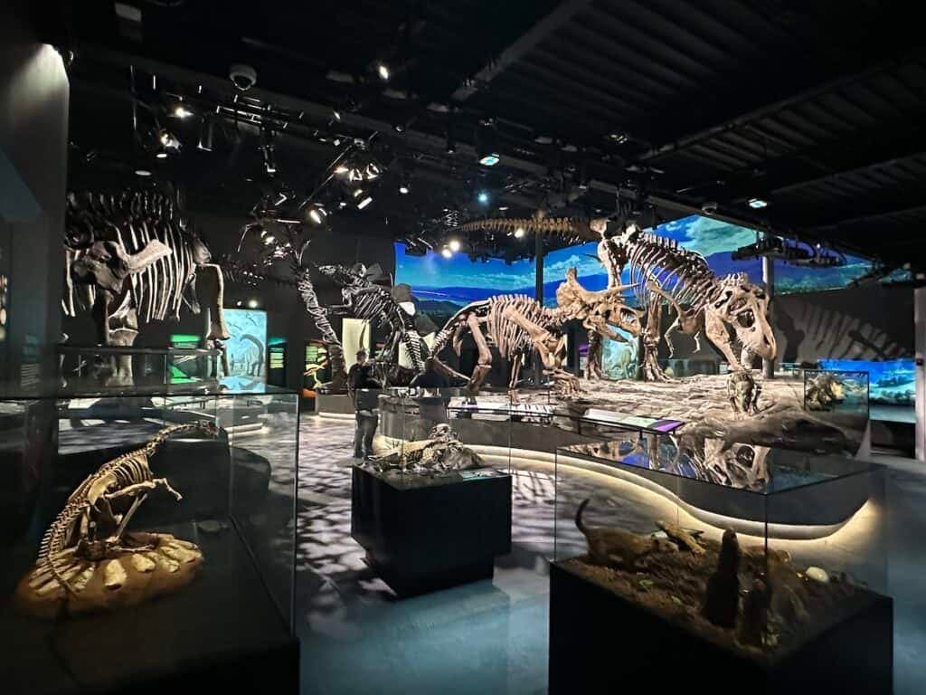 The Schiele Museum of Natural History